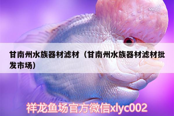 甘南州水族器材濾材（甘南州水族器材濾材批發(fā)市場(chǎng)）