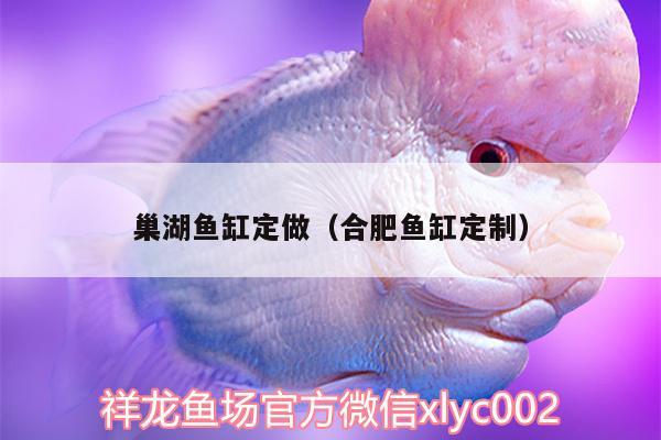 巢湖魚缸定做（合肥魚缸定制）