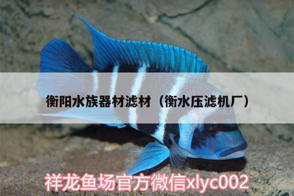 衡陽水族器材濾材（衡水壓濾機(jī)廠）