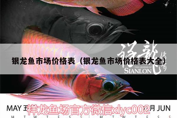 銀龍魚市場價格表（銀龍魚市場價格表大全）