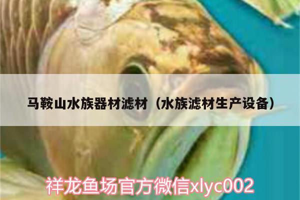 馬鞍山水族器材濾材（水族濾材生產設備）