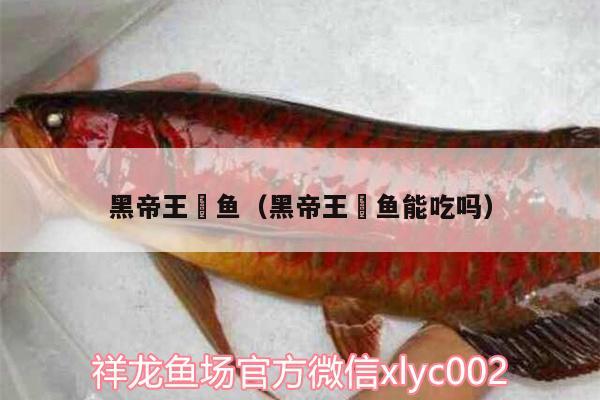 黑帝王魟魚（黑帝王魟魚能吃嗎）