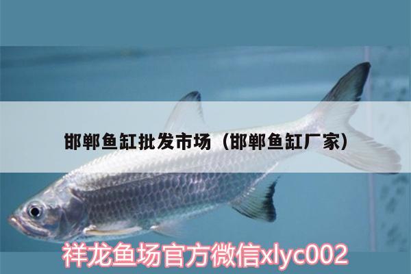 邯鄲魚(yú)缸批發(fā)市場(chǎng)（邯鄲魚(yú)缸廠家） 祥龍龍魚(yú)專用水族燈