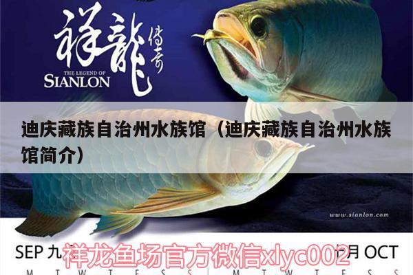 迪慶藏族自治州水族館（迪慶藏族自治州水族館簡介）