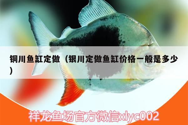 銅川魚缸定做（銀川定做魚缸價格一般是多少） 二氧化碳設(shè)備 第2張