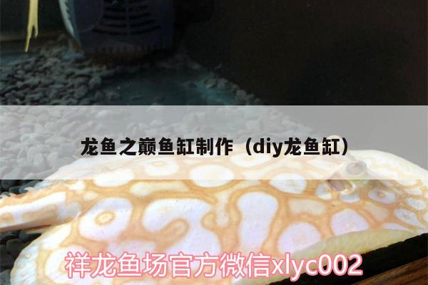 龍魚之巔魚缸制作（diy龍魚缸）