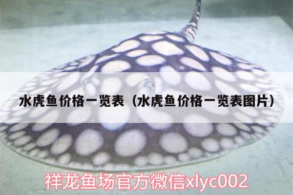 水虎魚(yú)價(jià)格一覽表（水虎魚(yú)價(jià)格一覽表圖片） 食人魚(yú)（水虎） 第2張