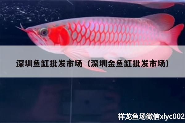 深圳魚(yú)缸批發(fā)市場(chǎng)（深圳金魚(yú)缸批發(fā)市場(chǎng)）