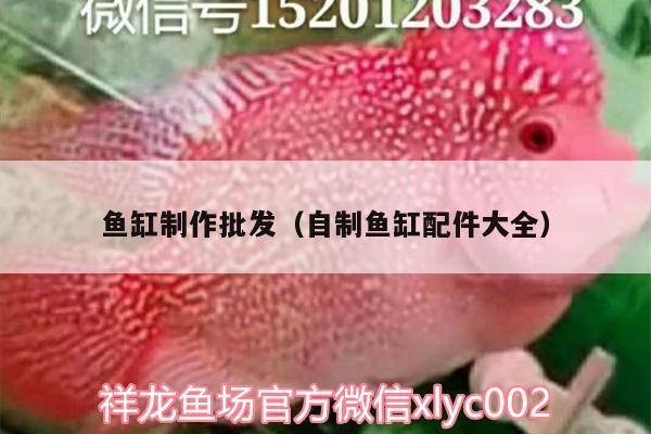 魚缸制作批發(fā)（自制魚缸配件大全） 虎紋銀版魚 第2張