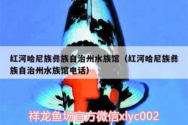 紅河哈尼族彝族自治州水族館（紅河哈尼族彝族自治州水族館電話）