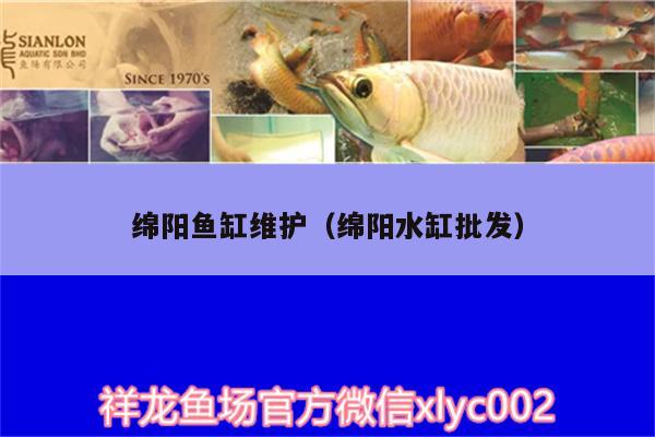 綿陽(yáng)魚(yú)缸維護(hù)（綿陽(yáng)水缸批發(fā)） 廣州觀賞魚(yú)批發(fā)市場(chǎng)