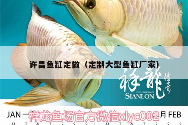 許昌魚缸定做（定制大型魚缸廠家） 南美異型魚