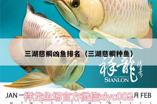 三湖慈鯛兇魚排名（三湖慈鯛種魚）