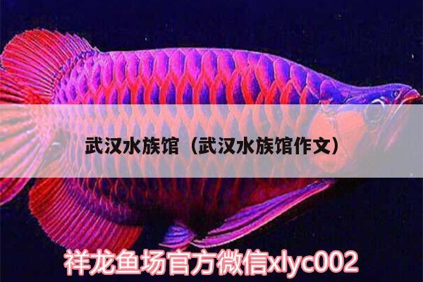 武漢水族館（武漢水族館作文）