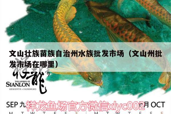 文山壯族苗族自治州水族批發(fā)市場(chǎng)（文山州批發(fā)市場(chǎng)在哪里） 觀賞魚水族批發(fā)市場(chǎng)