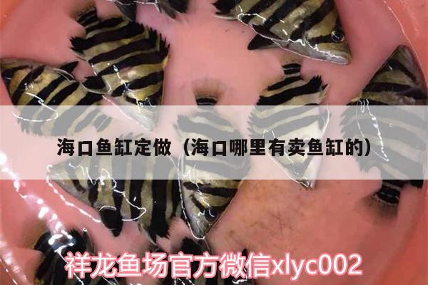 ?？隰~(yú)缸定做（?？谀睦镉匈u(mài)魚(yú)缸的）