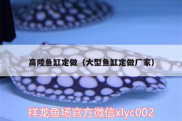 高陵魚缸定做（大型魚缸定做廠家） 其它水族用具設(shè)備