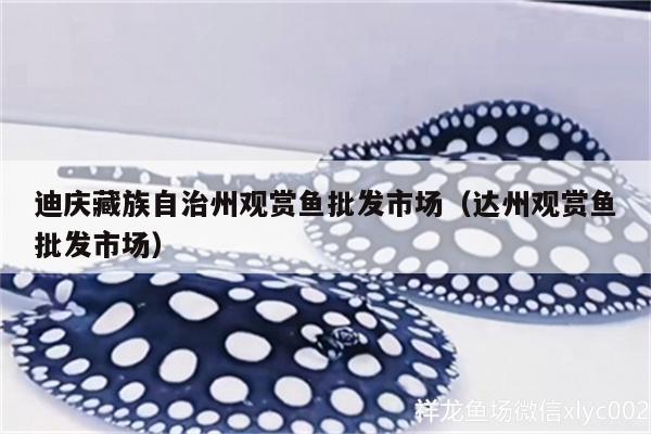 迪慶藏族自治州觀賞魚批發(fā)市場(chǎng)（達(dá)州觀賞魚批發(fā)市場(chǎng)）