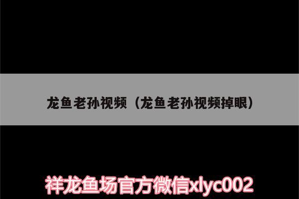 龍魚老孫視頻（龍魚老孫視頻掉眼） 觀賞魚市場（混養(yǎng)魚）