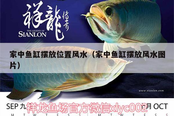 家中魚缸擺放位置風(fēng)水（家中魚缸擺放風(fēng)水圖片）