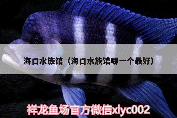 ?？谒屦^（海口水族館哪一個最好）