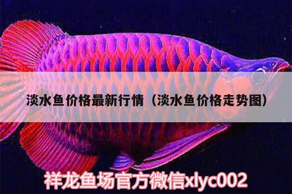 淡水魚價格最新行情（淡水魚價格走勢圖）