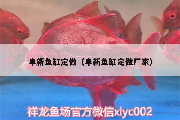 阜新魚缸定做（阜新魚缸定做廠家）