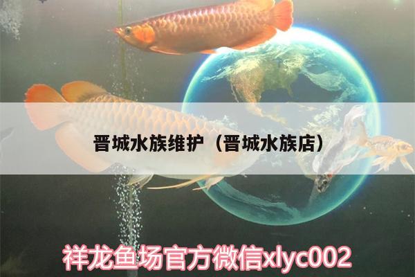 晉城水族維護(hù)（晉城水族店） 祥龍龍魚專用水族燈