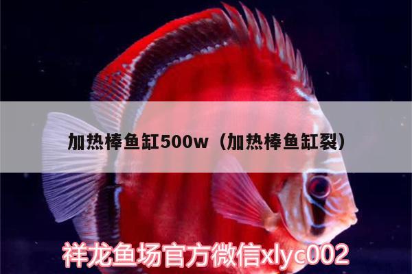 加熱棒魚缸500w（加熱棒魚缸裂）