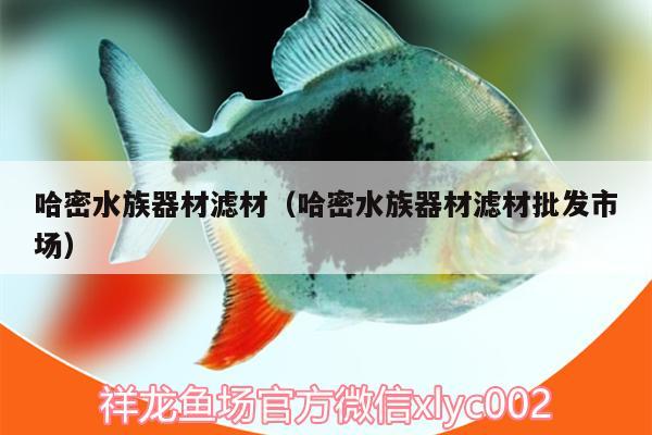 哈密水族器材濾材（哈密水族器材濾材批發(fā)市場） 廣州水族器材濾材批發(fā)市場