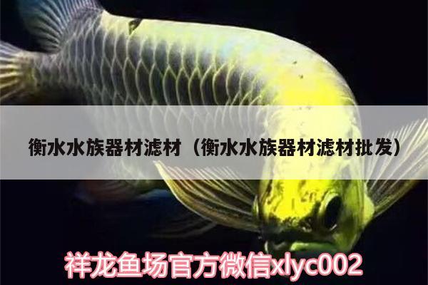 衡水水族器材濾材（衡水水族器材濾材批發(fā)）