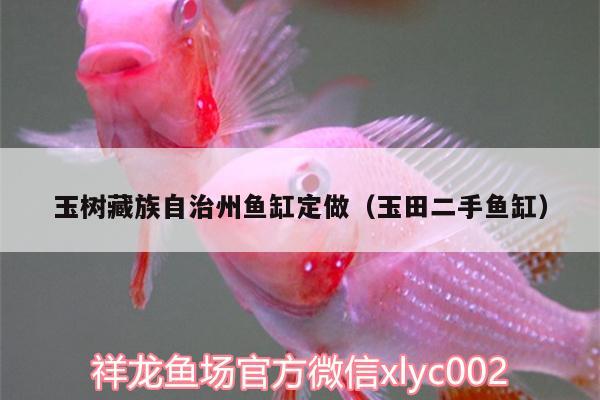 玉樹(shù)藏族自治州魚(yú)缸定做（玉田二手魚(yú)缸） 雪龍魚(yú)