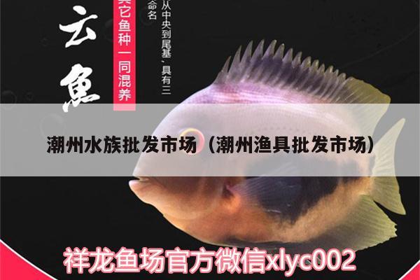 潮州水族批發(fā)市場(chǎng)（潮州漁具批發(fā)市場(chǎng)） 觀賞魚(yú)水族批發(fā)市場(chǎng) 第1張