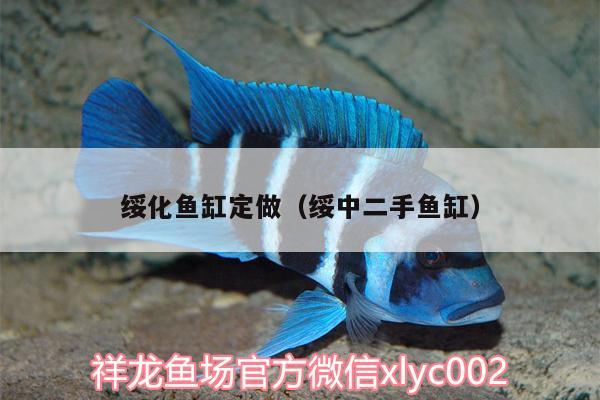 綏化魚(yú)缸定做（綏中二手魚(yú)缸） 玫瑰銀版魚(yú)