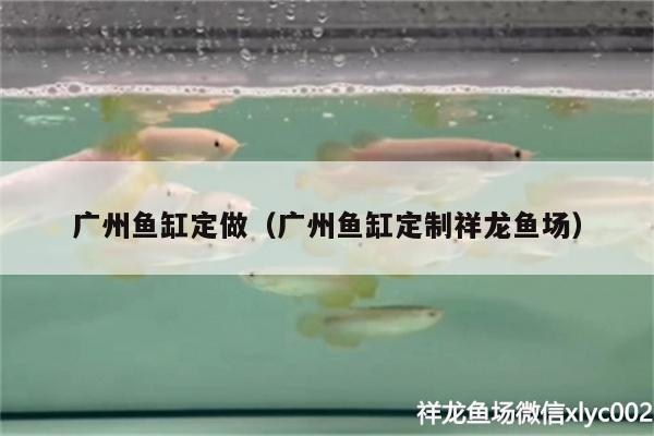 廣州魚缸定做（廣州魚缸定制祥龍魚場）