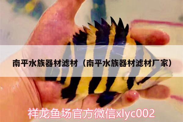 南平水族器材濾材（南平水族器材濾材廠家） 丹頂錦鯉魚(yú)