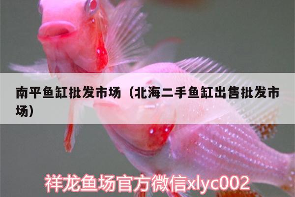 南平魚缸批發(fā)市場（北海二手魚缸出售批發(fā)市場）