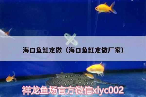 海口魚缸定做（海口魚缸定做廠家） 觀賞魚魚苗