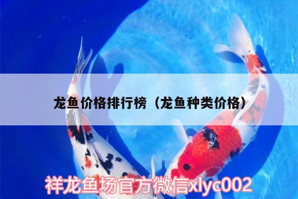 龍魚價(jià)格排行榜（龍魚種類價(jià)格） 眼斑魚