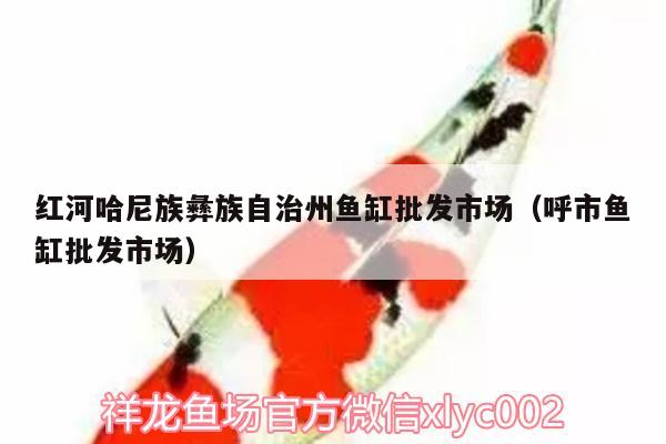 紅河哈尼族彝族自治州魚缸批發(fā)市場（呼市魚缸批發(fā)市場）