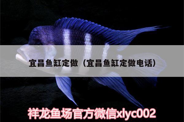 宜昌魚缸定做（宜昌魚缸定做電話）