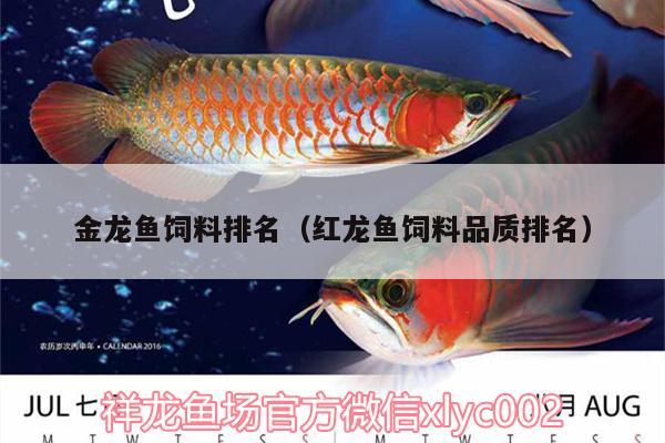 金龍魚飼料排名（紅龍魚飼料品質(zhì)排名） 藍帆三間魚