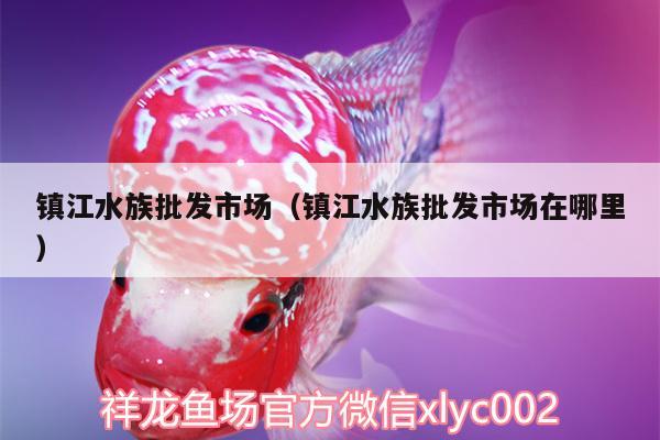 鎮(zhèn)江水族批發(fā)市場（鎮(zhèn)江水族批發(fā)市場在哪里）