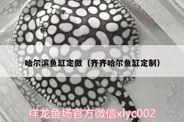 哈爾濱魚缸定做（齊齊哈爾魚缸定制） 水族用品