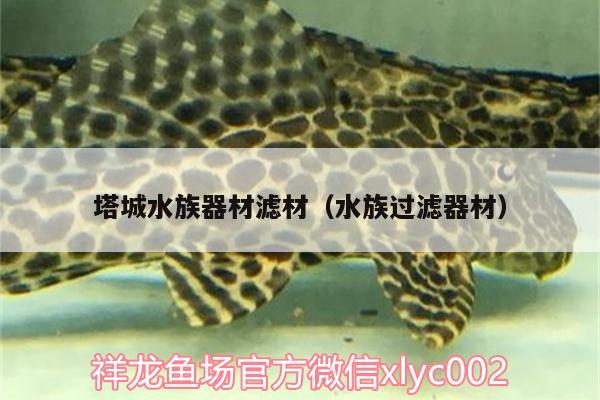 塔城水族器材濾材（水族過濾器材） 其它水族用具設(shè)備