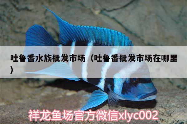 吐魯番水族批發(fā)市場(chǎng)（吐魯番批發(fā)市場(chǎng)在哪里）