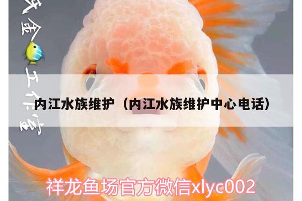 內(nèi)江水族維護（內(nèi)江水族維護中心電話） 雙線側(cè)魚