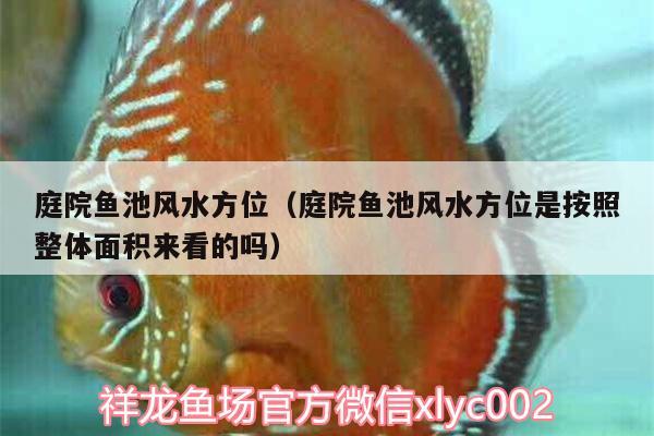 庭院魚池風水方位（庭院魚池風水方位是按照整體面積來看的嗎）