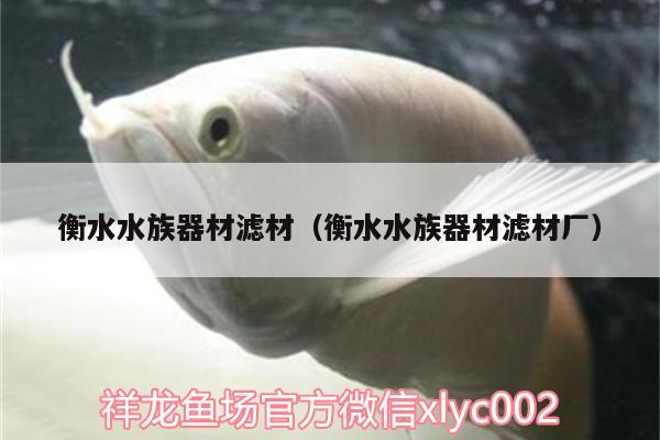 衡水水族器材濾材（衡水水族器材濾材廠） 羅漢魚批發(fā)