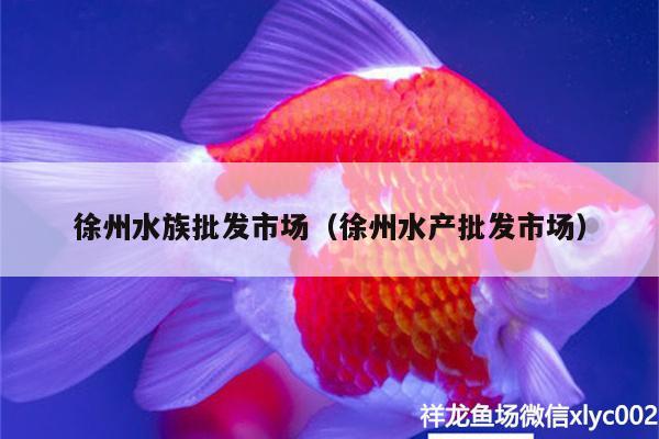 徐州水族批發(fā)市場（徐州水產(chǎn)批發(fā)市場） 觀賞魚水族批發(fā)市場